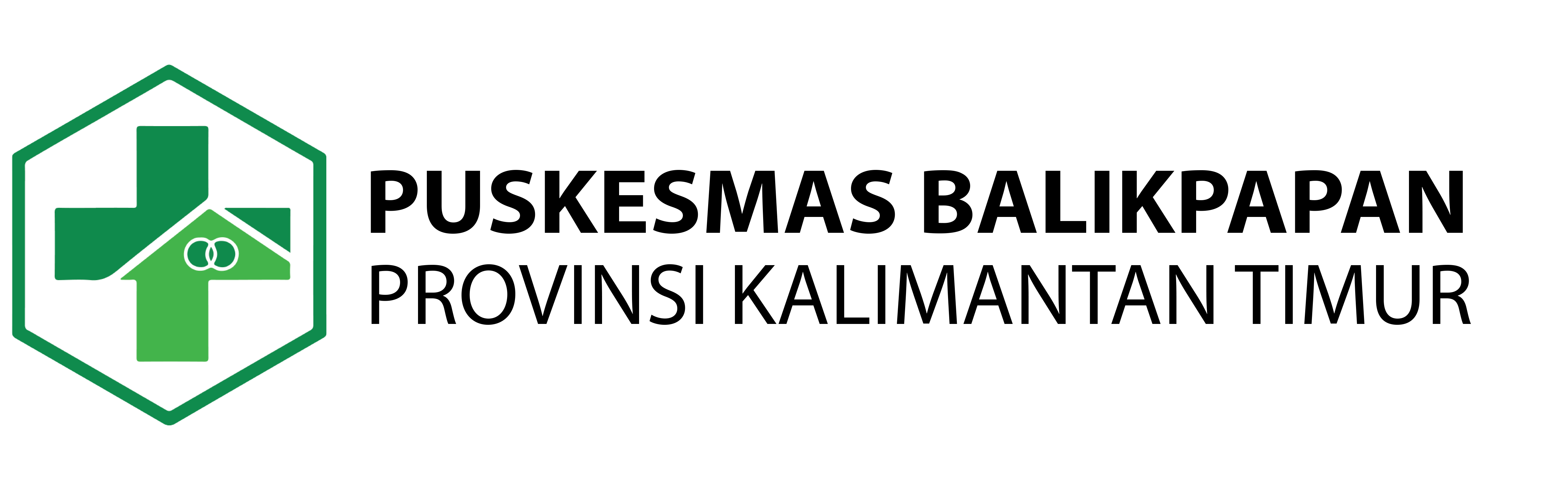 Logo Puskesmas